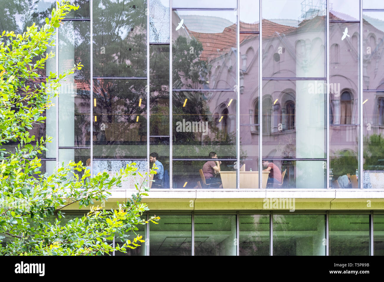 Szeged, Hungary, June 27: Students study at the University library in Szeged, June 27, 2018. Stock Photo