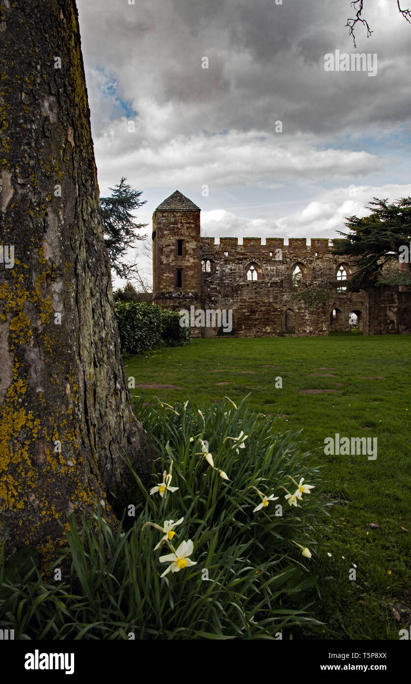 Acton Burnell castle, Shropshire.UK Stock Photo - Alamy