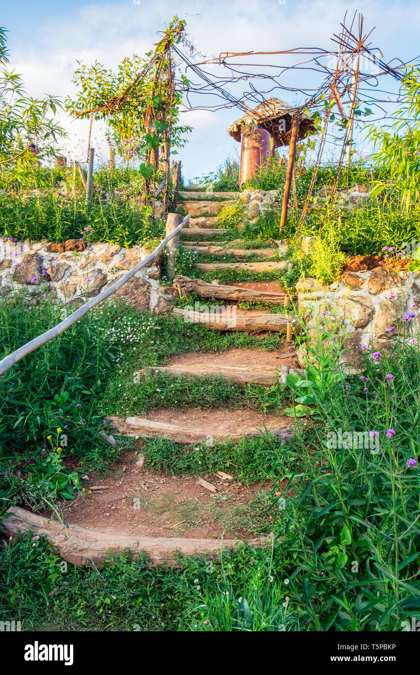 Walkway stair natural decorative in beautiful garden Stock Photo