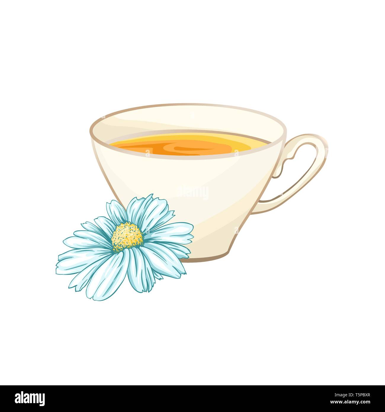 Porcelain or Ceramic Tea Cup. Chamomile or Daisy Flower and Green Tea. Herbal Therapy. Made Tea with Matricaria Loose Herbs. Vector Illustration. Banner Design, Restaurant Menu, English Breakfast. Stock Vector