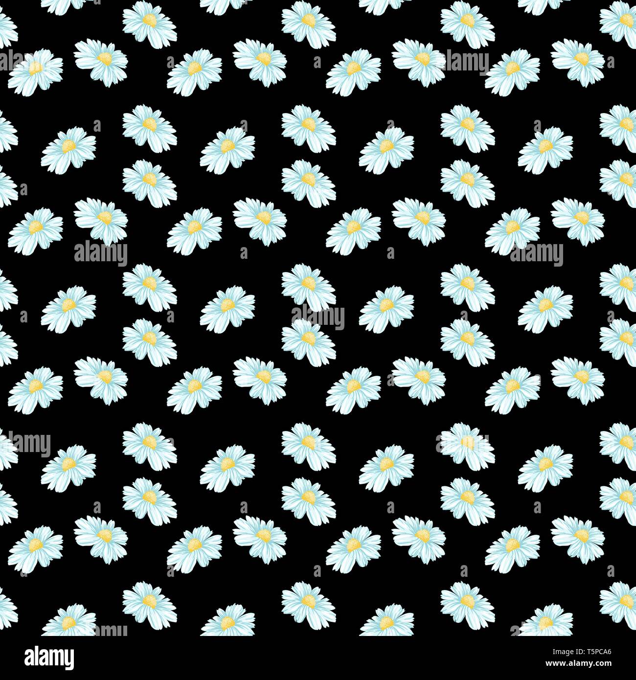 Daisy or Chamomile Tea Herb Flower Seamless Pattern. Herbal Therapy Wallpaper. Botany Plant, Matricaria Loose Herbs. Floral Blossom on Black Background Stock Vector