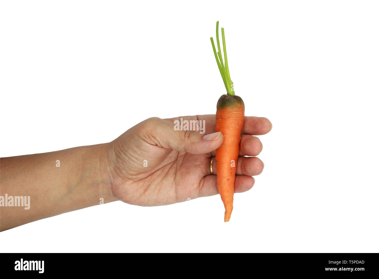woman hand holding baby carrots isolated on black background Stock