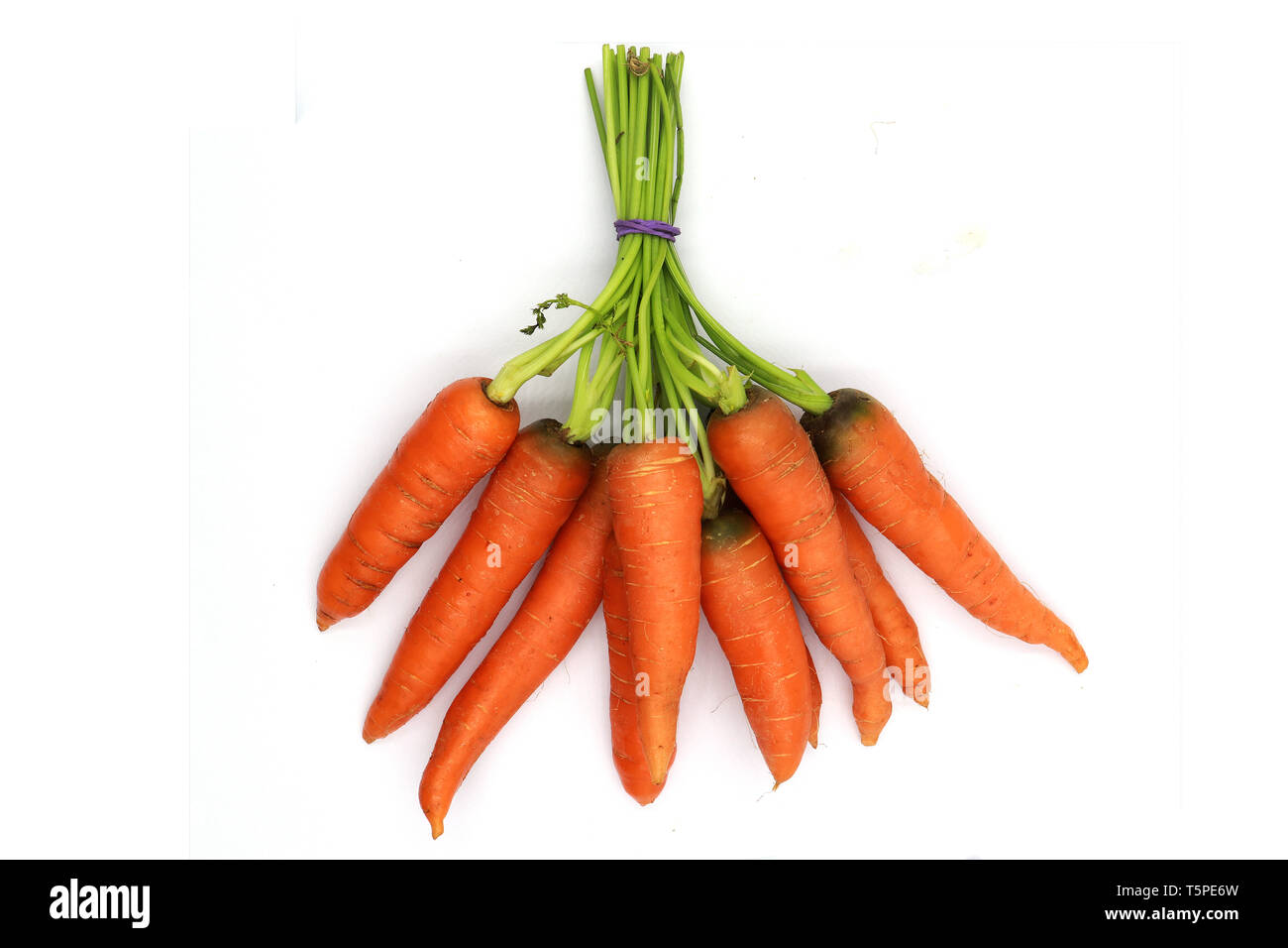 A bunch of baby carrots hires stock photography and images Alamy