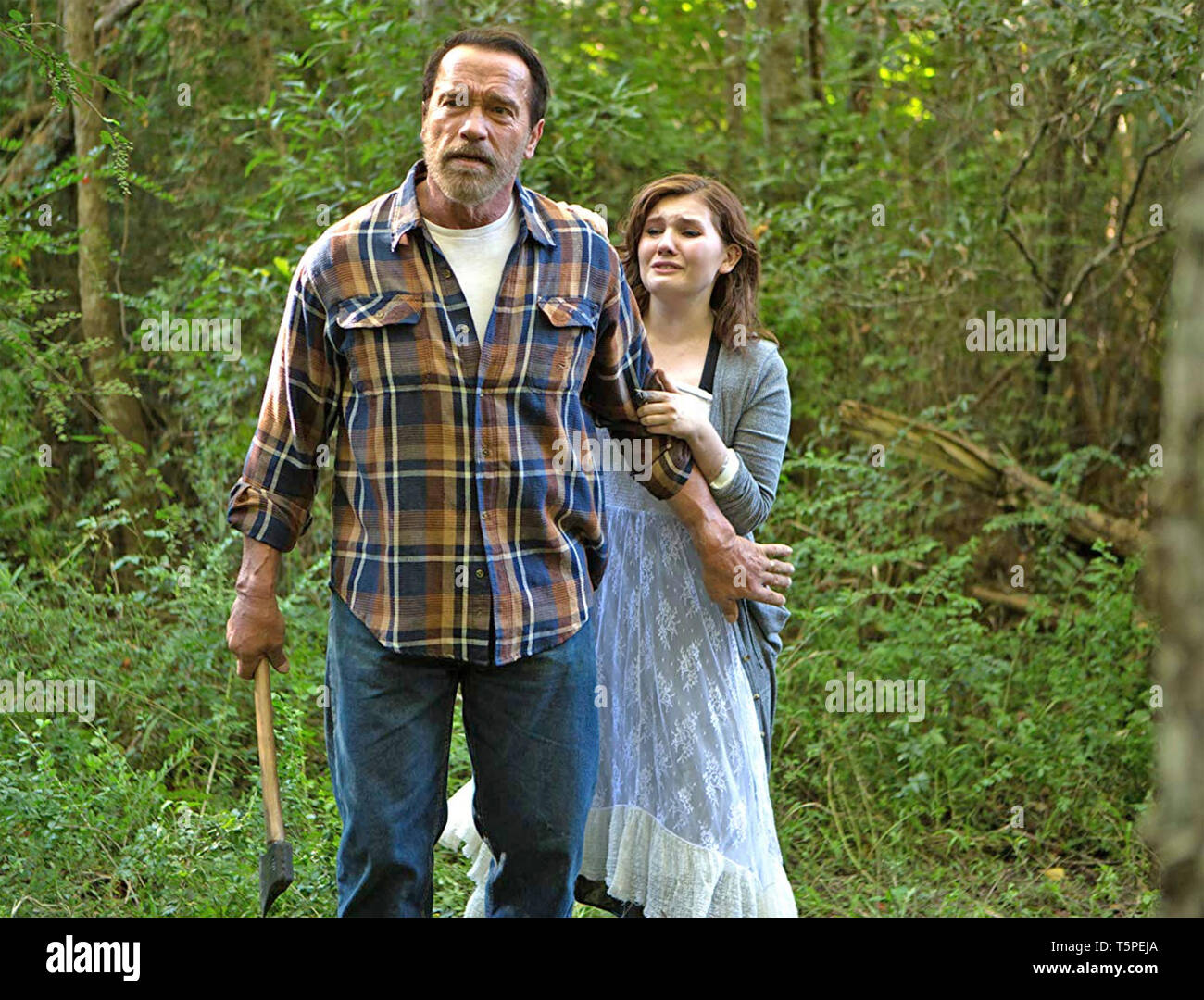 MAGGIE 2015 Lionsgate film with Arnold Schwarzenegger and Abigail Breslin Stock Photo