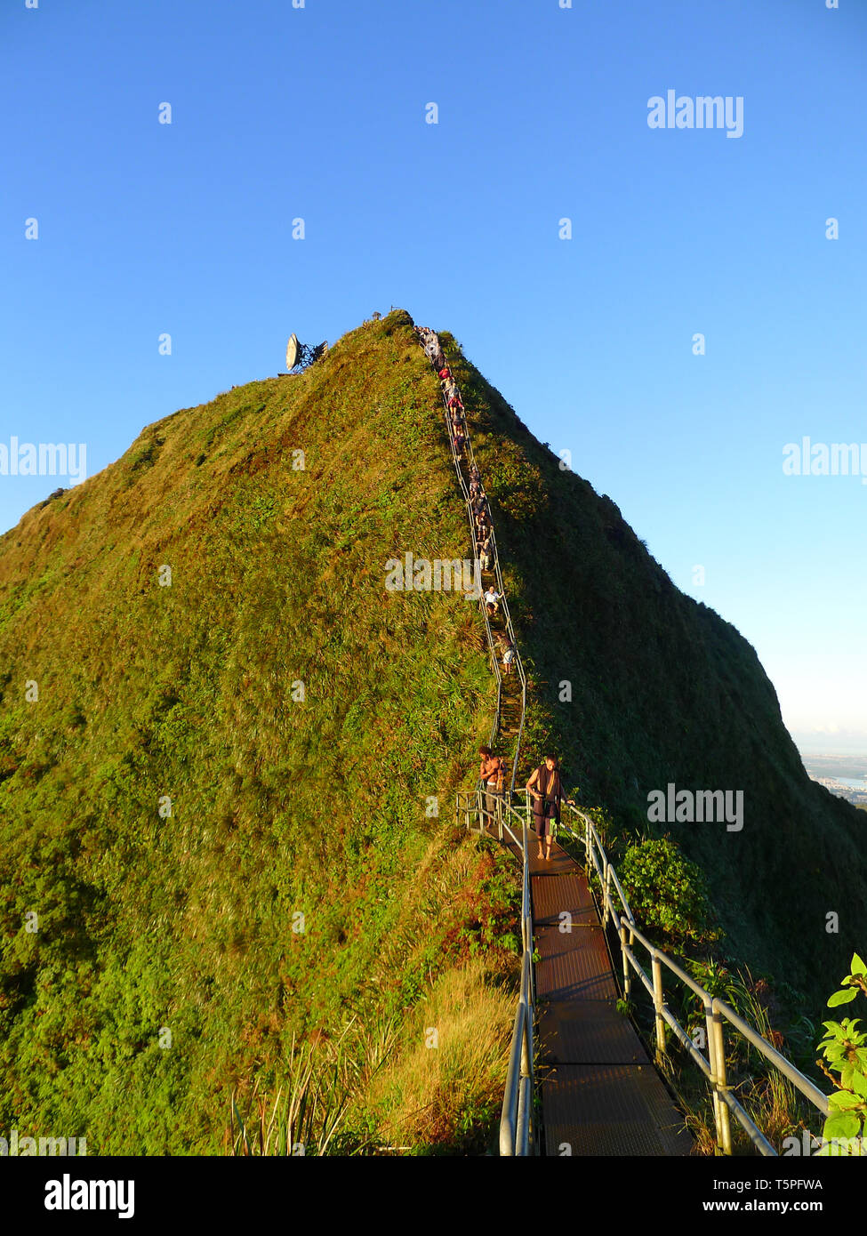 Famous Haiku stairs, stairway to heaven with hikers on the stairs climbing down. Stock Photo