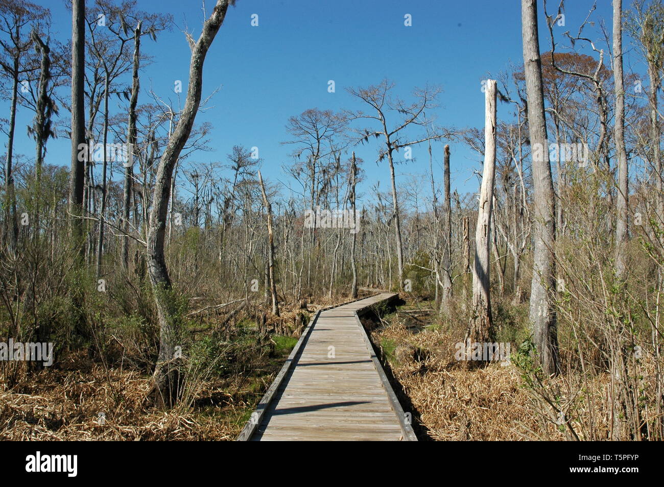 The View At Fairview Riverside State Park Madisonville Louisiana Usa Stock Photo Alamy