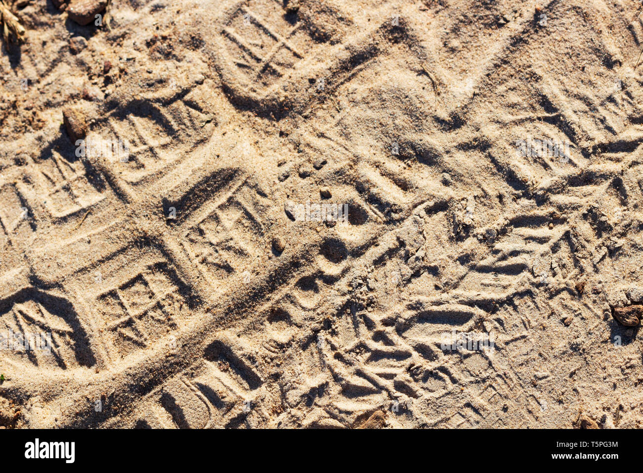 Footprints and bike tire marks on a sandy trail form an abstract design