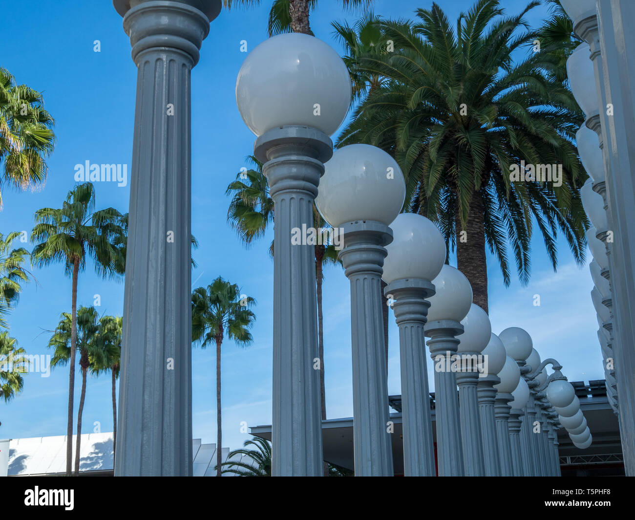 Classic circular light posts standing with palm trees in daytime Stock Photo