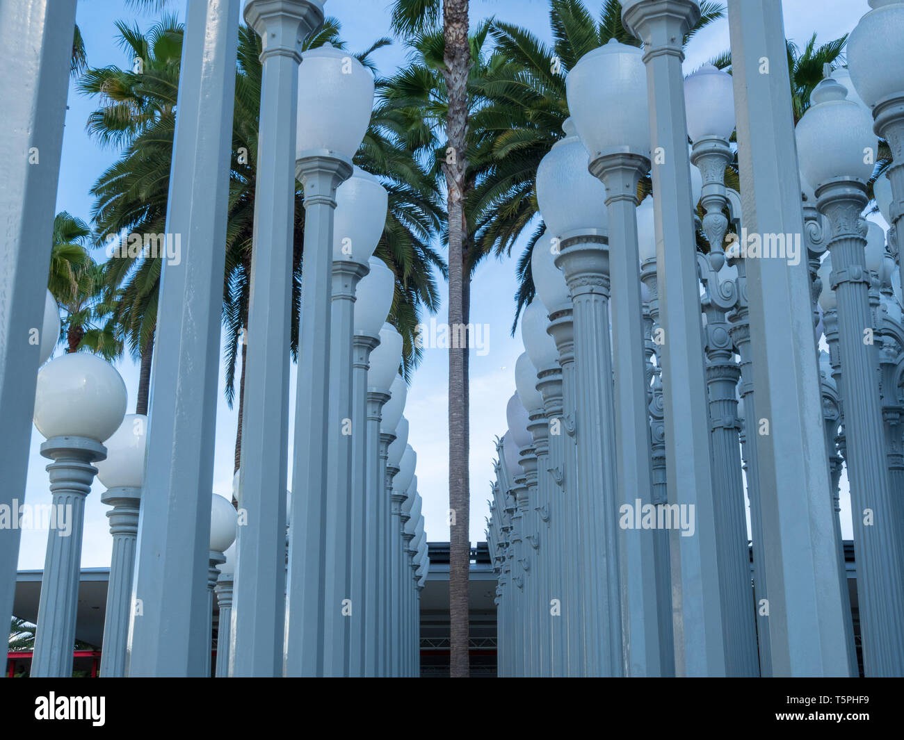 Old round light posts standing with palm trees in day time Stock Photo