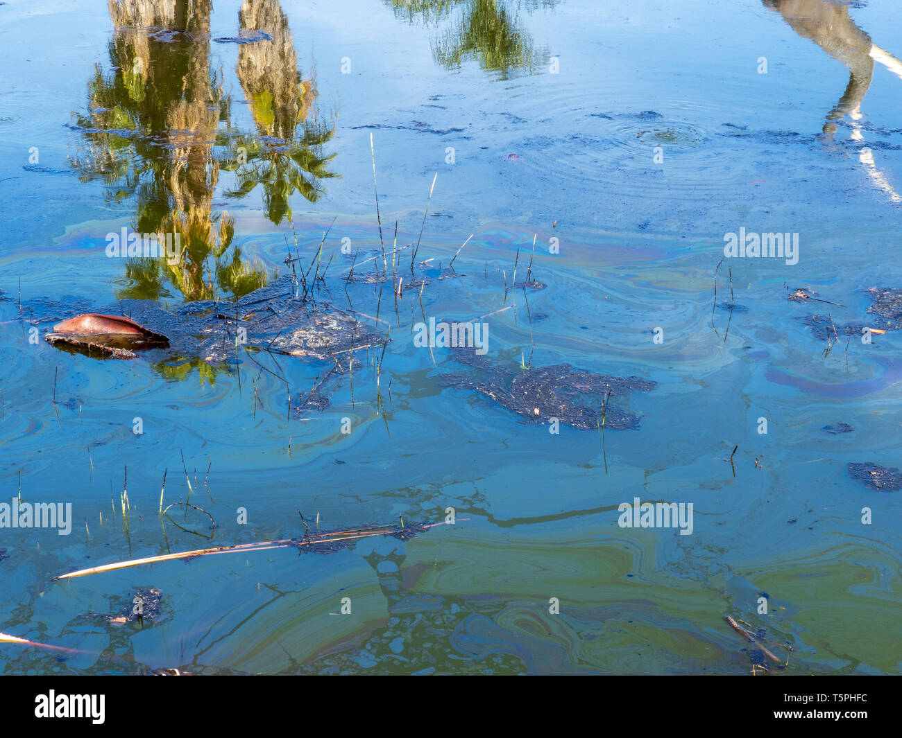 Tropical water with reflection of palm trees polluted with oil and debris Stock Photo