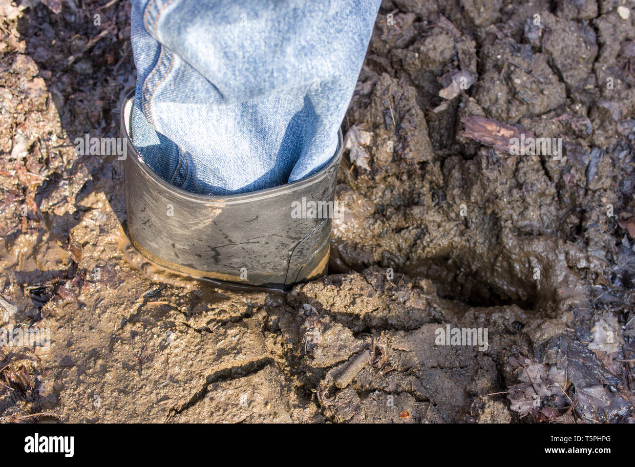A stuck rubber boot after stepping in deep mud. Stock Photo