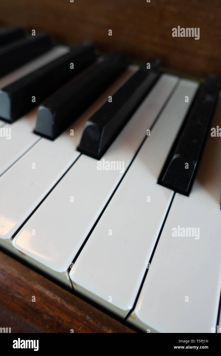 Close up of Ivory Piano Keys Stock Photo Alamy
