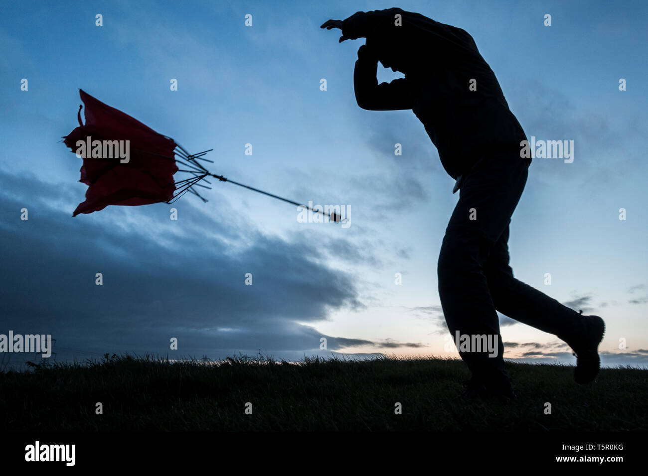 Windy day umbrella hires stock photography and images Alamy