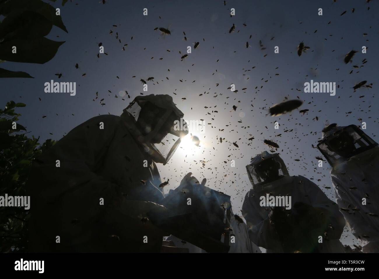 Central Of The Gaza Strip, The Gaza Strip, Palestine. 27th Apr, 2019 ...