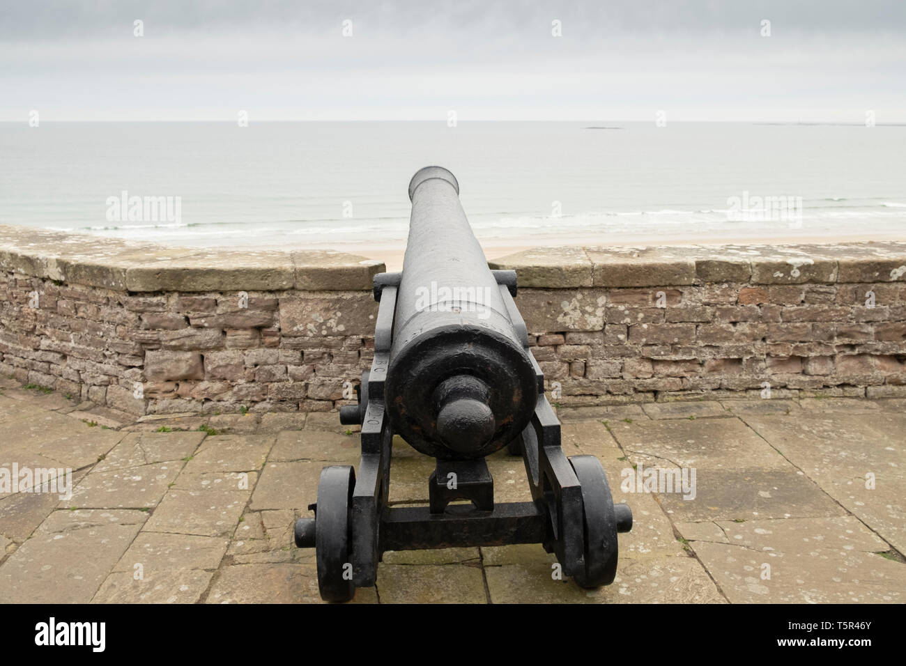 Cannon facing the sea at Bamburgh Castle, Northumberland, England Stock ...