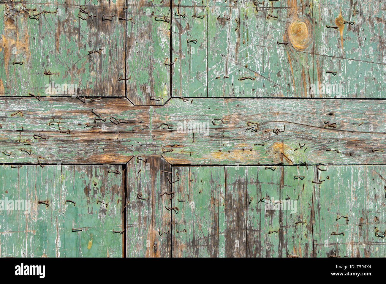 Old chipped wooden teal blue plank with staples texture background Stock Photo