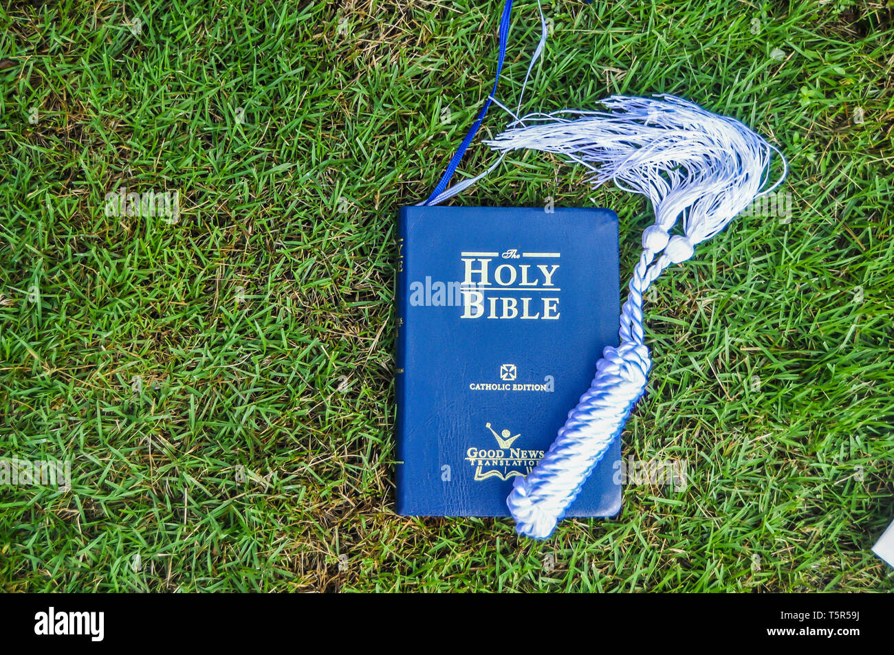 closeup shot of the Holy Bible on the grass Stock Photo Alamy