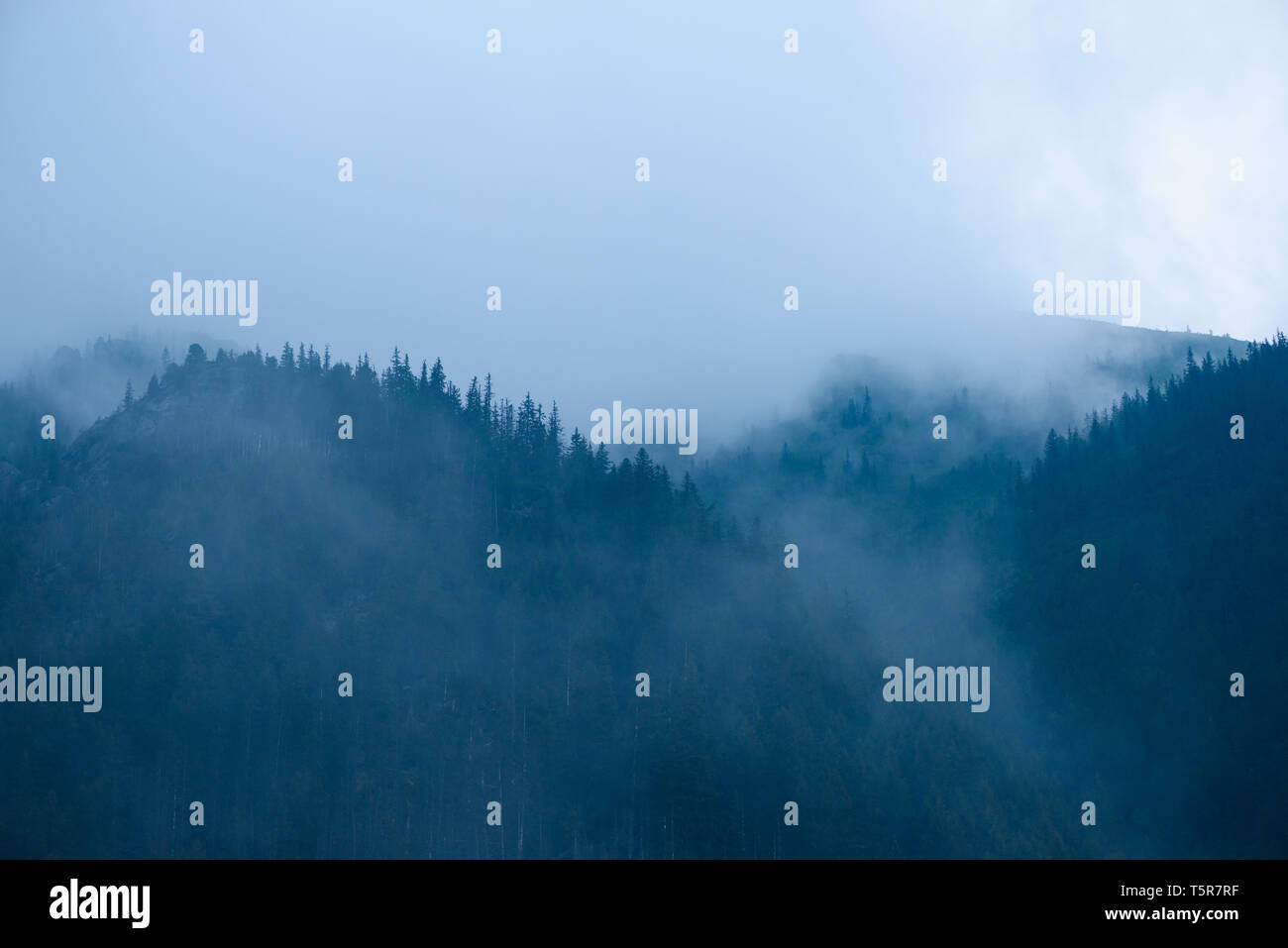 High mountain forest low hi-res stock photography and images - Alamy
