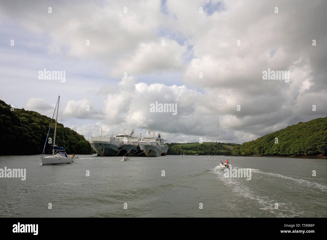 river fal at king harry ferry, with several huge car transporter ships laid up on moorings in the river Stock Photo