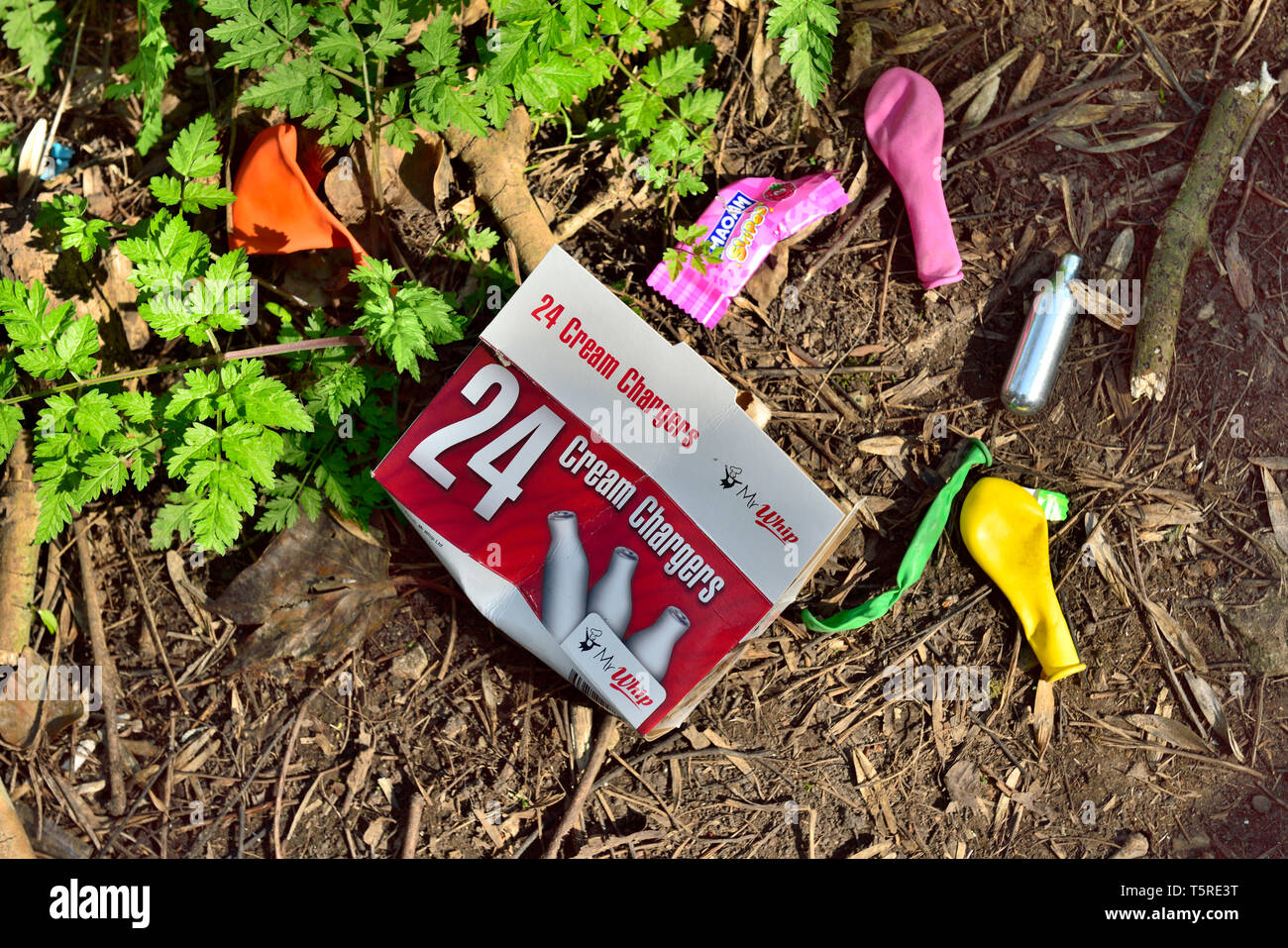 Litter. Discarded balloons and nitrous oxide cream charger refill box and canister dumped by woodland path Stock Photo