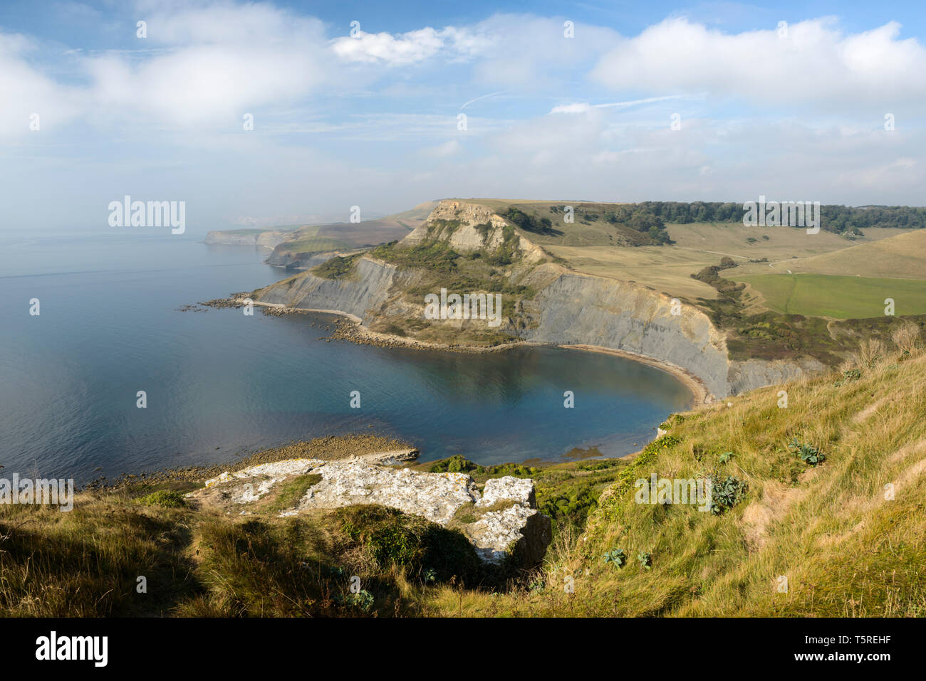 A westward view of the Dorset coastline, taken from Emmett's Hill on the Isle of Purbeck. Stock Photo