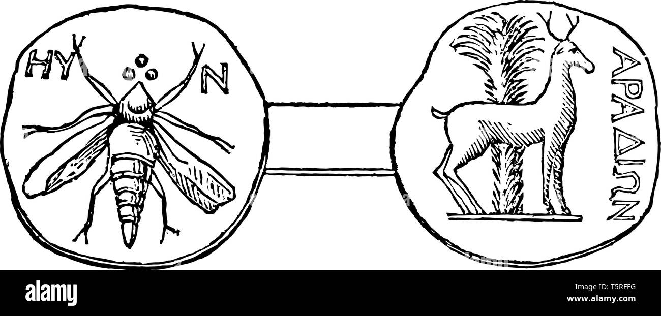 Both sides of the Aradus Medal. One side has a fly and another side represents the deer standing near a palm tree, vintage line drawing or engraving i Stock Vector