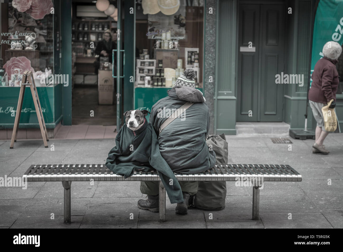 A man wraps his dog in a fleece to keep it warm against a biting wind in Exeter City centre. Stock Photo