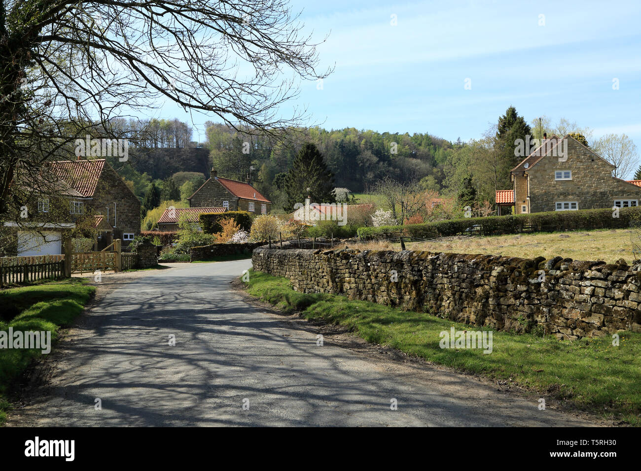 View of Lastingham from Ings Lane, Lastingham, Ryedale, North Yorkshire, England, United Kingdom Stock Photo
