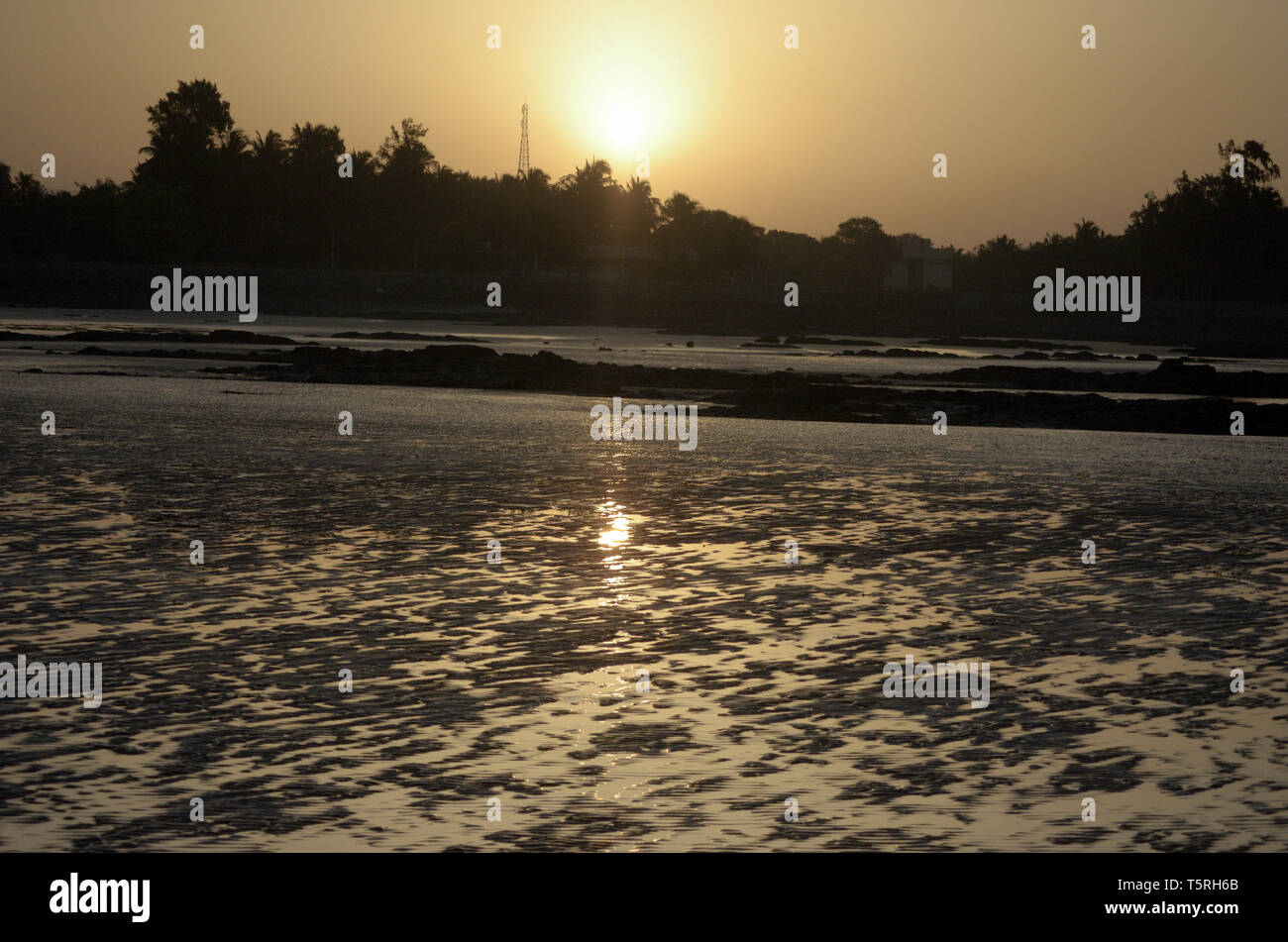Golden island india hi-res stock photography and images - Alamy