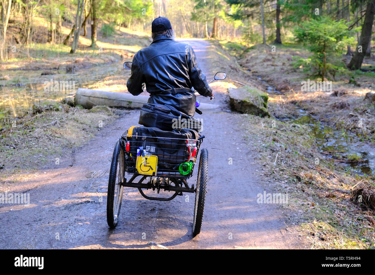A homeless man in a wheelchair rides on a forest road. The three