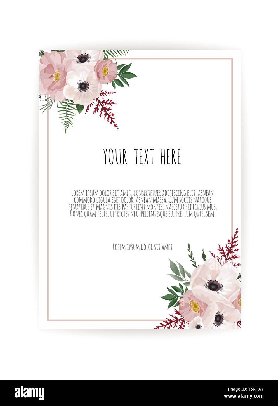Set of card with flower rose, leaves. Wedding ornament concept. Floral poster, invite.  decorative greeting card or invitation design background Stock Photo