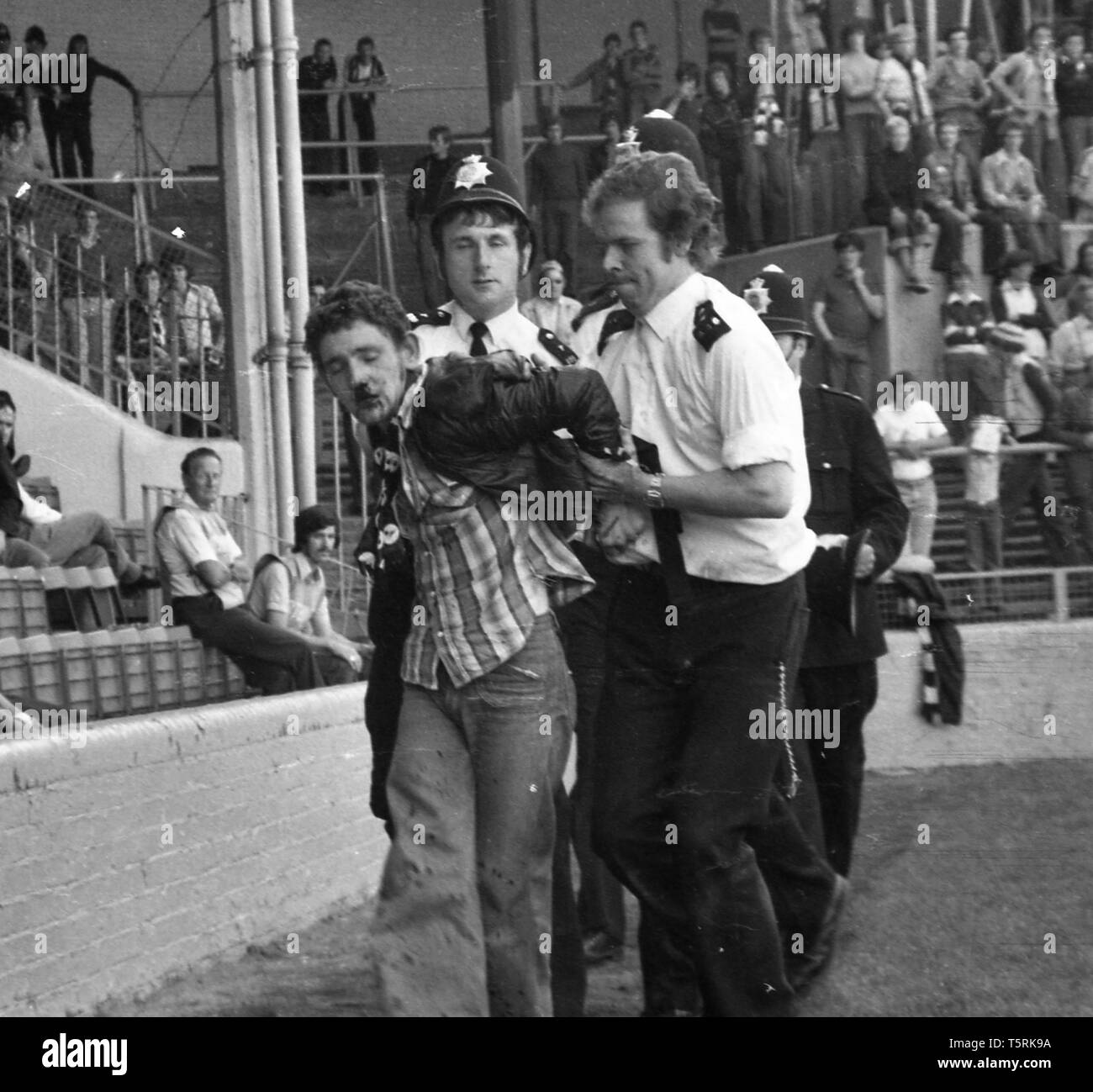 Millwall Football Club, Cold Blow Lane, 1978. Football hooligans being arrested/ejected from the stadium during a match. Stock Photo