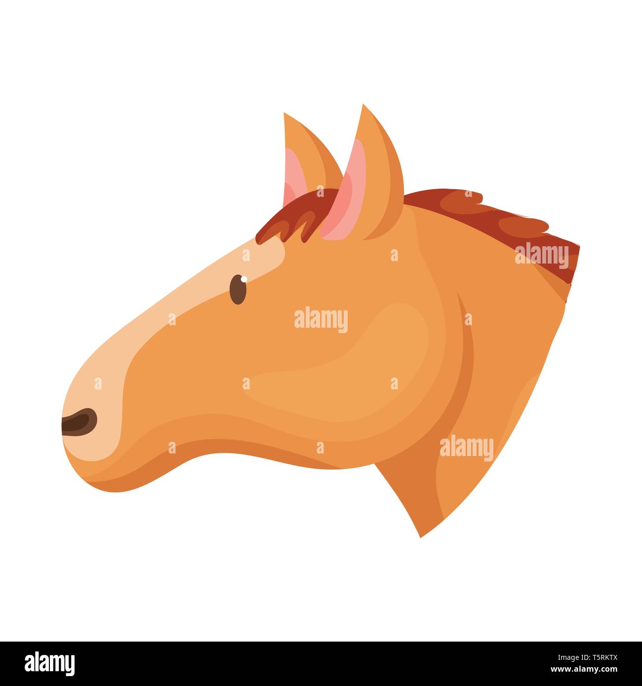 rearing,mustang,stallion,running,trot,farm,head,food,homemade,horse