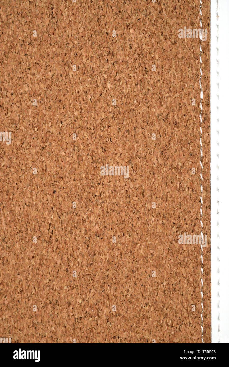 wooden texture of Cork Cover Journal (Notebook, Diary) with white part