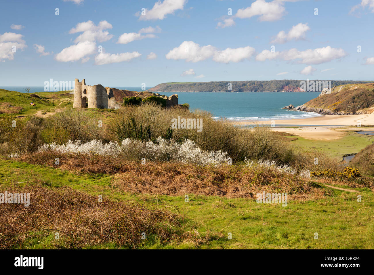 Ruins of Pennard Castle standing above Three Cliffs Bay in spring, Gower Peninsula, Swansea, West Glamorgan, Wales, United Kingdom, Europe Stock Photo