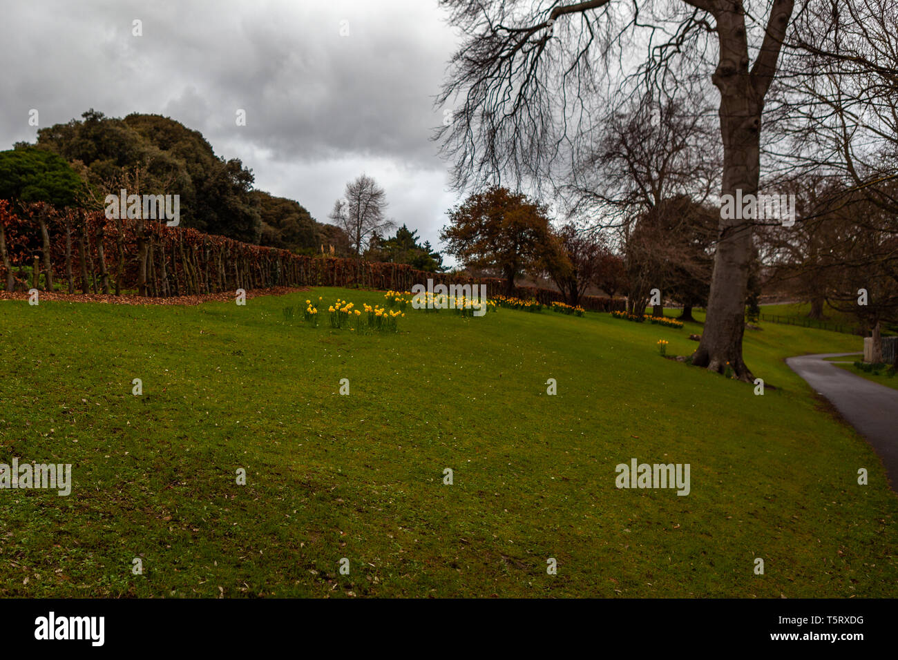 Dublin, Ireland – March 2019. Famous Phoenix Park in Dublin Stock Photo