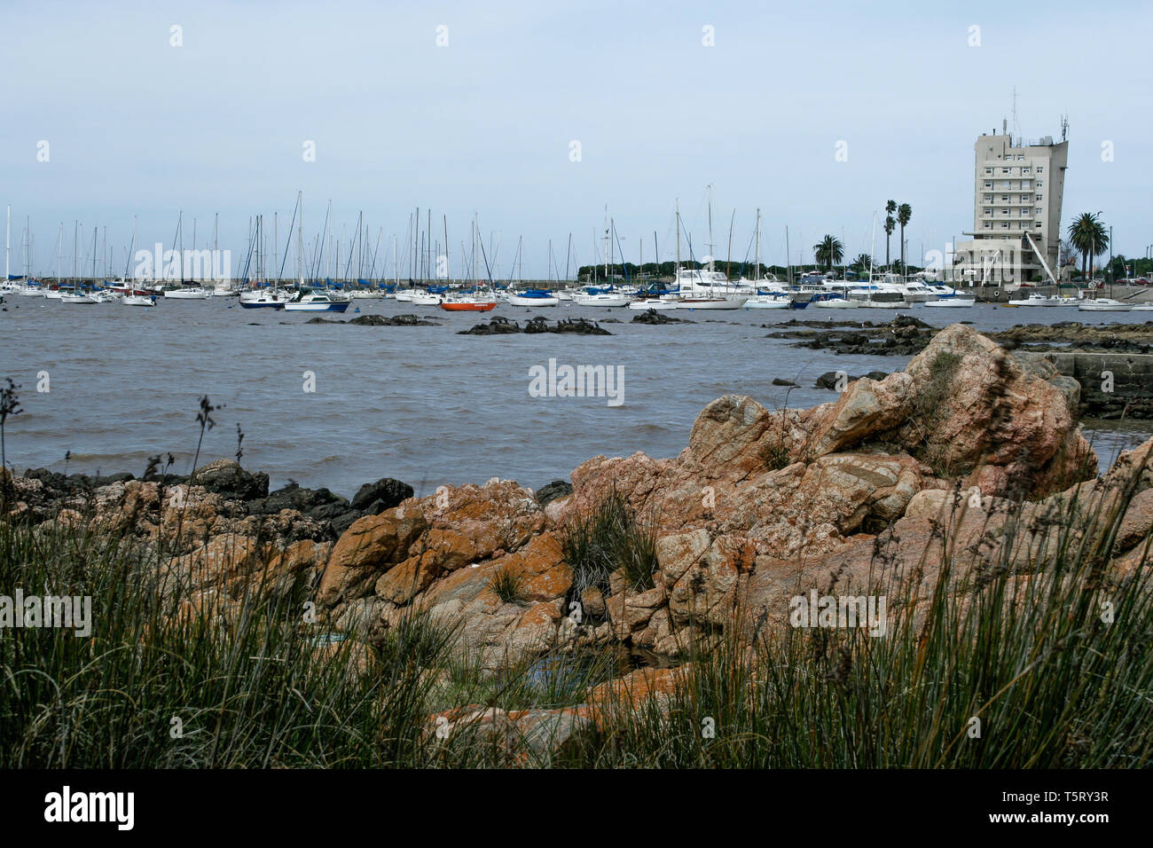 yacht club buceo