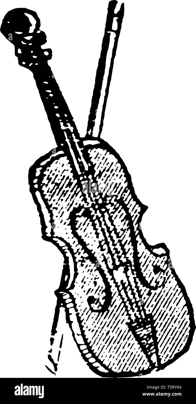 Fiddle is a stringed instrument of music, vintage line drawing or