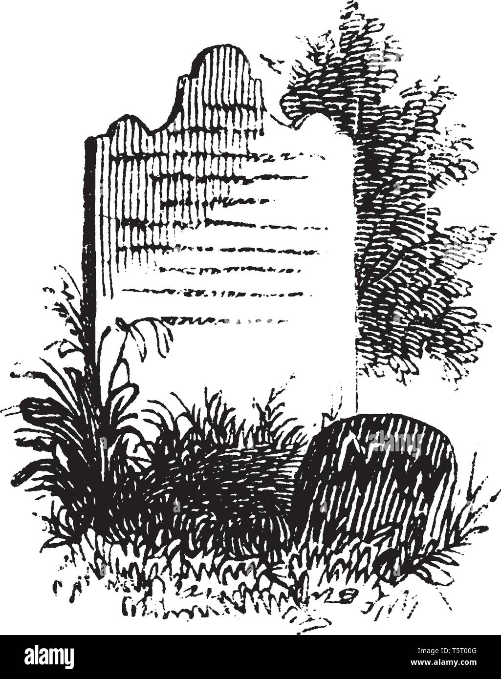 Grave of General Nathaniel Woodhull, a leader of the New York Provincial Congress and a brigadier general of the New York Militia ,vintage line drawin Stock Vector