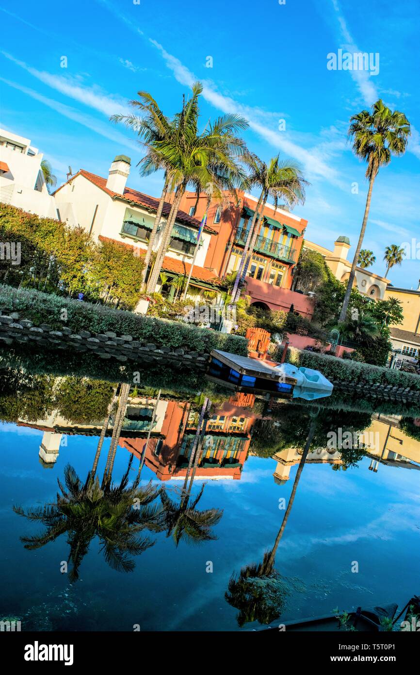 Man made palm tree hires stock photography and images Alamy