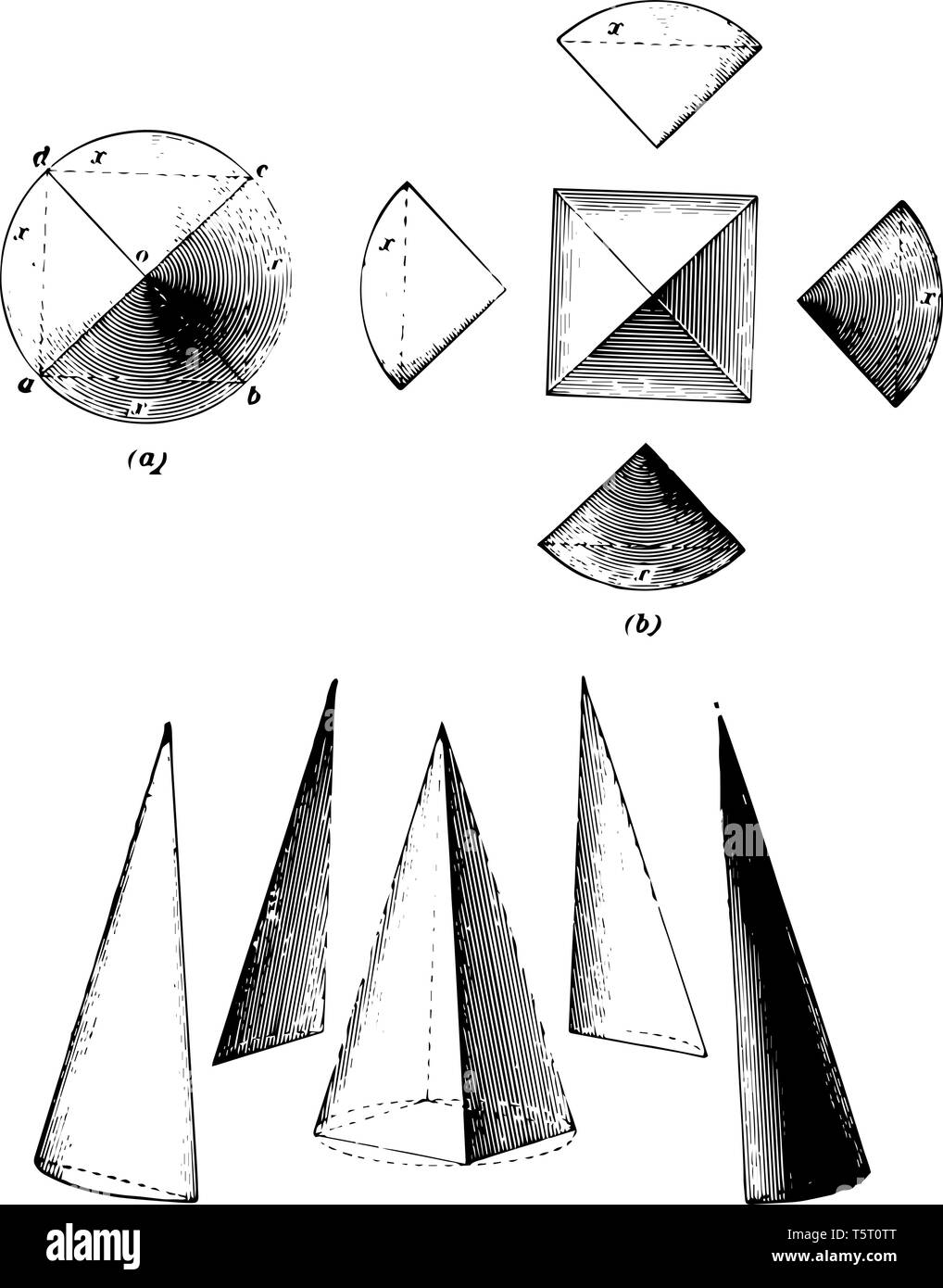 The images show the relationship between a pyramid and a cone. Transect