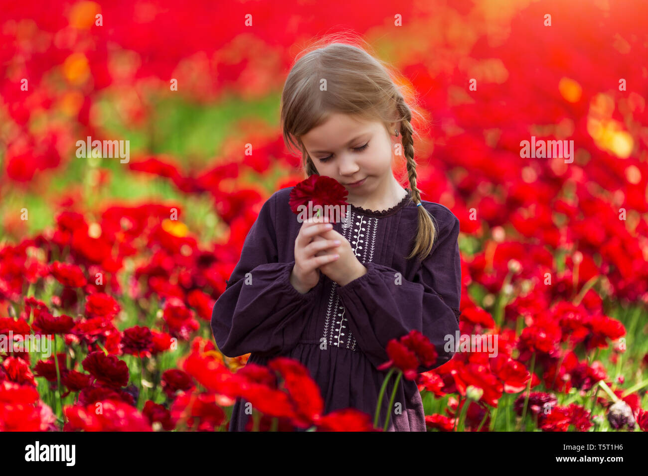 girl with red flower posing in a field of buttercups, bright sun, beautiful summer landscape Stock Photo