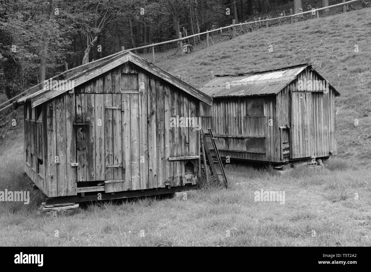 Old Dilapidated Shed Stock Photos Old Dilapidated Shed Stock