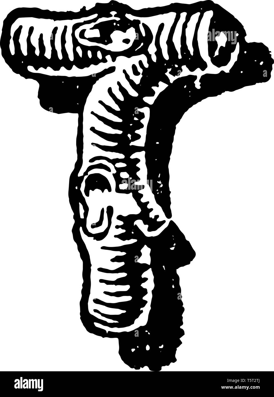 This letter is a rustic letter design. It is used by gardeners or ...