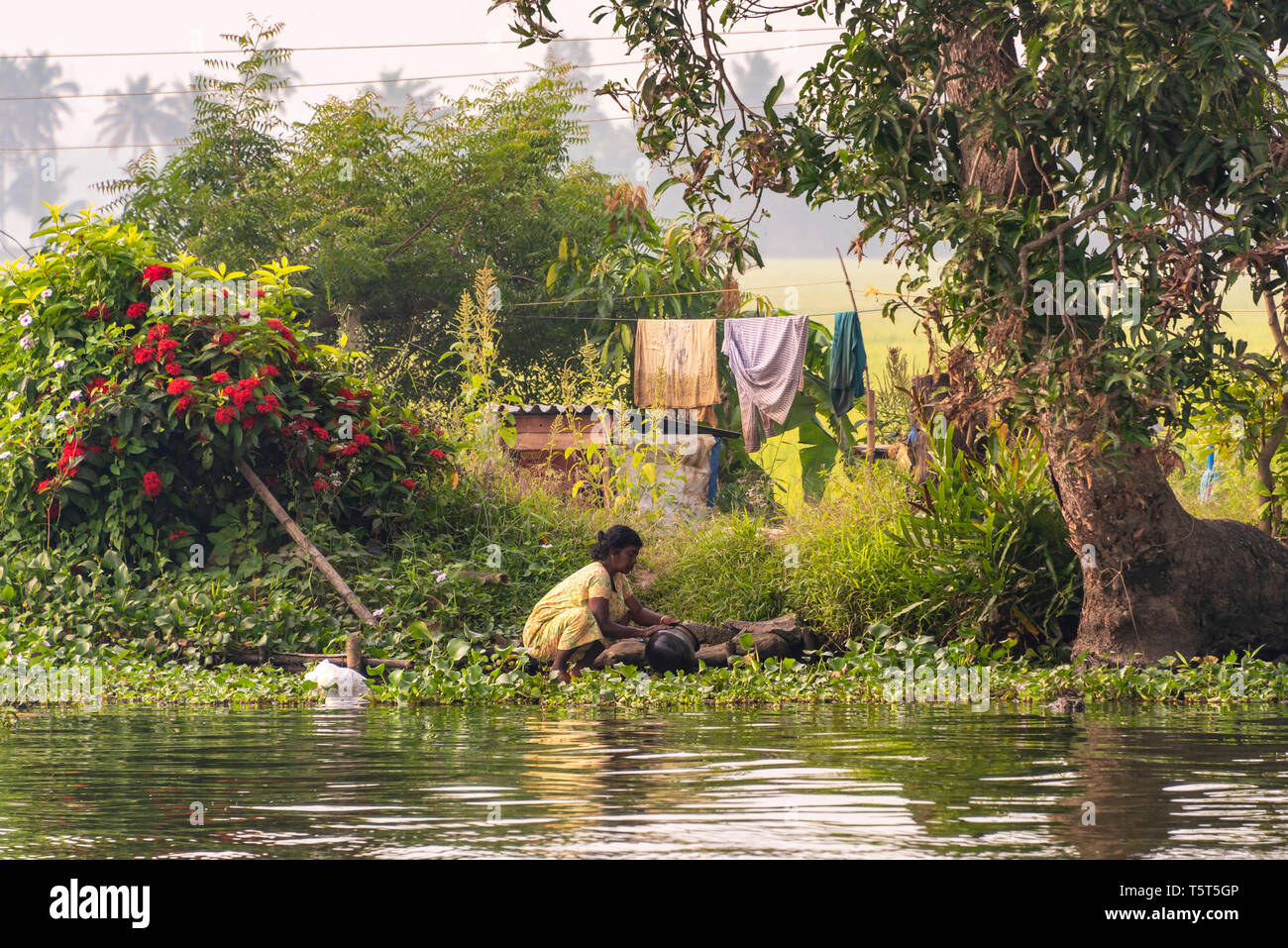 Horizontal portrait of a lady doing the washing up on the riverbank in Alleppy, India Stock Photo
