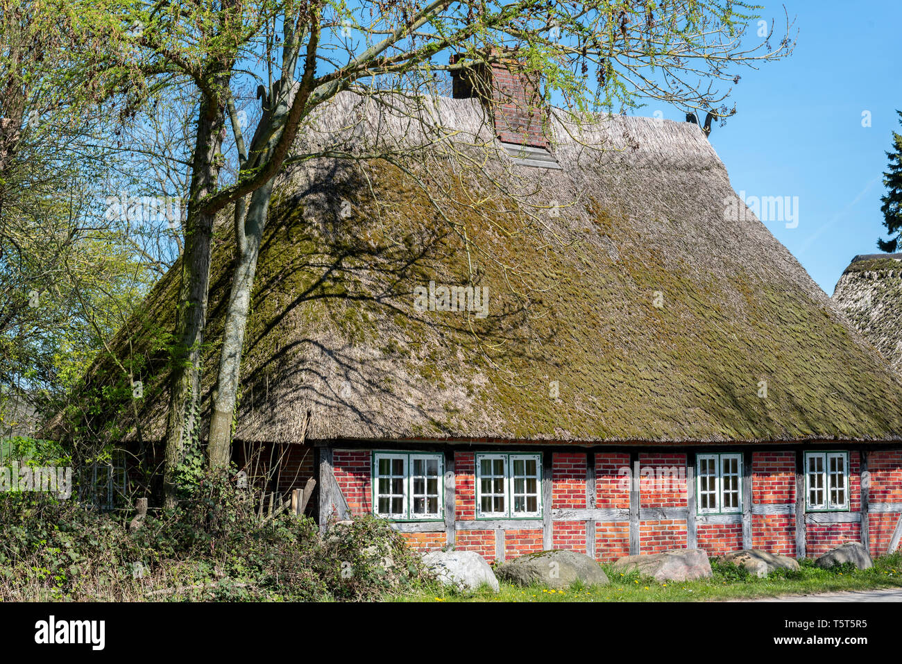 Reetdachhaus bei Damp, SchleswigHolstein, Deutschland Stock Photo Alamy