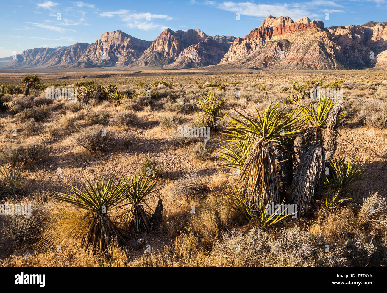 Early morning view of Red Rock Canyons National Conservation Area, Nevada, USA Stock Photo