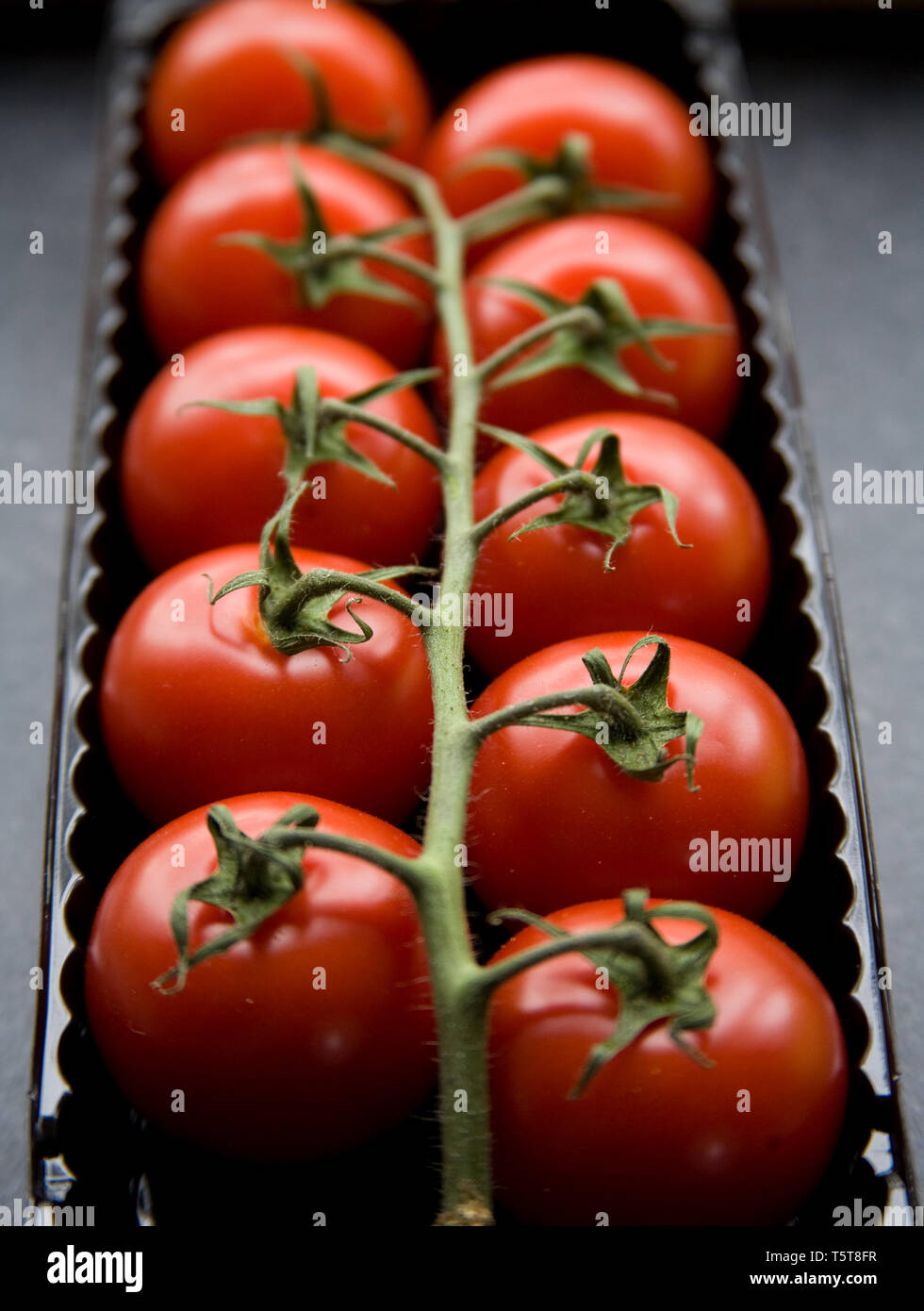 shop packaged tomatoes on a vine in a black plastic tray Stock Photo ...