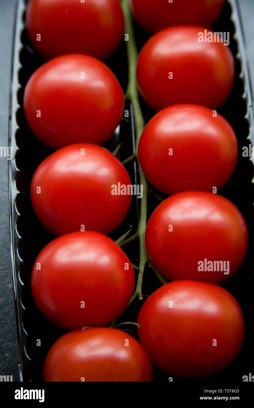 shop packaged tomatoes on a vine in a black plastic tray Stock Photo ...