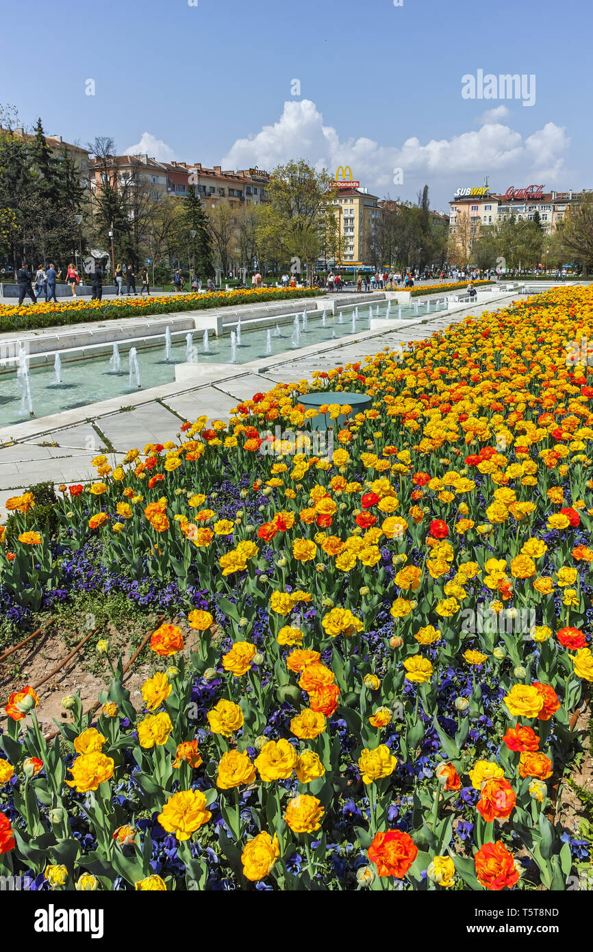 SOFIA, BULGARIA -APRIL 14, 2018: Amazing view of Flower garden and National  Palace of Culture in Sofia, Bulgaria Stock Photo - Alamy